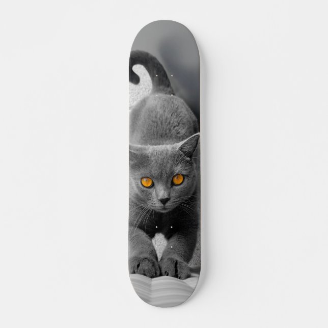 Skateboard Curioso gato británico de pelo corto (Devant)