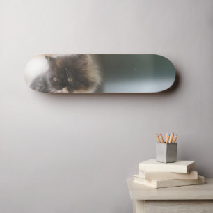 Skateboard Cute chat