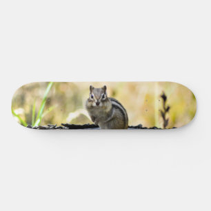Skateboard Cute Chipmunk