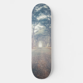 Skateboard Cypress Tunnel Landscape