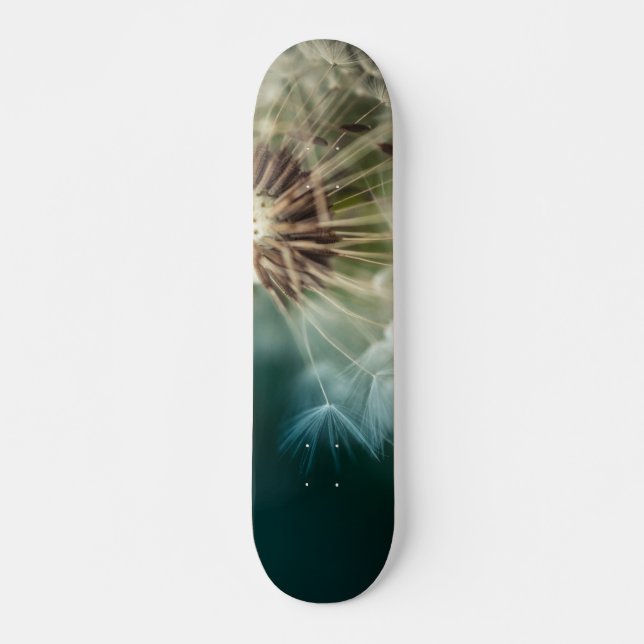 Skateboard - Dandelion Seeds (Front)