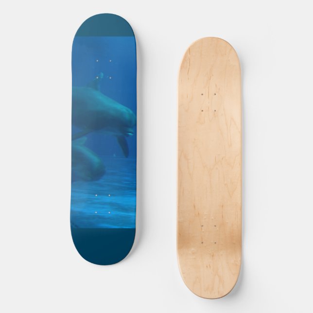 Skateboard Dauphin (Recto)