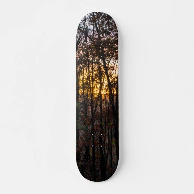 Skateboard DDC Woody Sunset (Devant)
