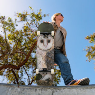 Skateboard de la chouette de l'Ouest