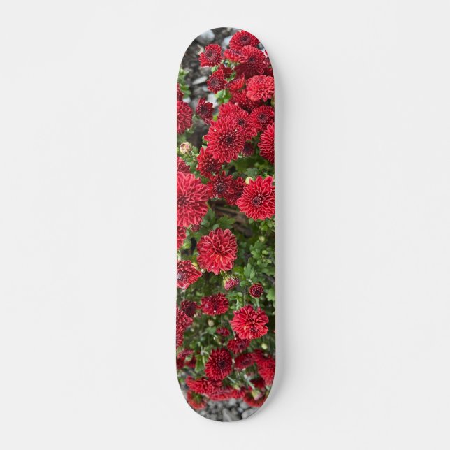 skateboard deck (Front)