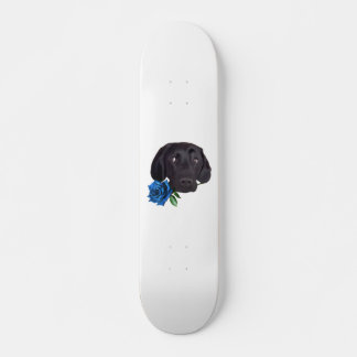 Skateboard Désolé Je suis en retard J'ai vu un chien dans la 