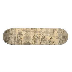 Skateboard Diagramme anatomique de Cyclopaedia 1728