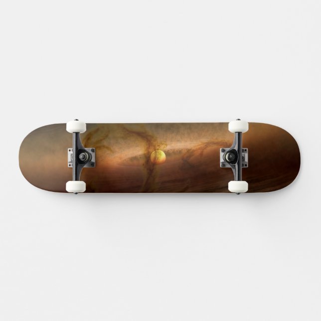 Skateboard Disques De Matériel De Forme Planète Circulant Les (Horz)