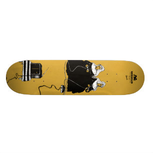 SKATEBOARD DIVERTISSEMENT