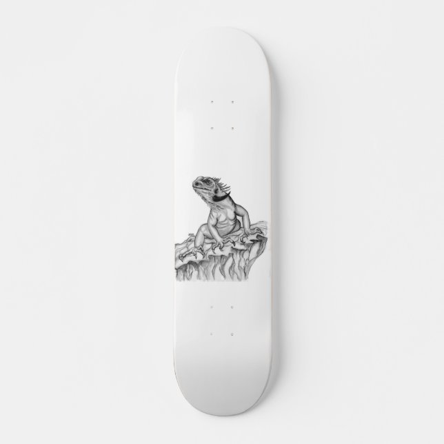 Skateboard Drache am Felsen (Devant)