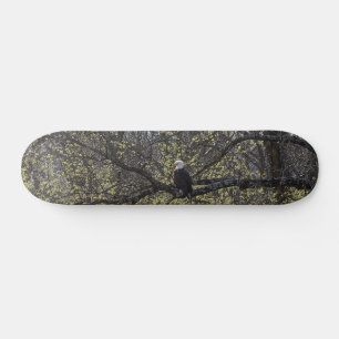 Skateboard Eagle Lookout Tableau de bord peint