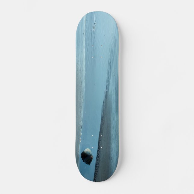 SKATEBOARD EAU BLEUE (Recto)