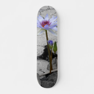 Skateboard Eau Lily Beauté