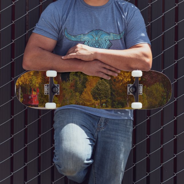 Skateboard Egg Harbour, WI automne saison avec chariot (Extérieur 3)