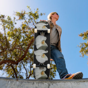 Skateboard Elégante orchidée blanche tropicale fleurs blanche