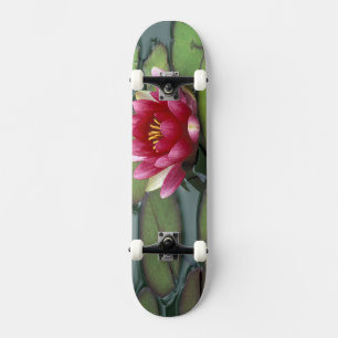 Skateboard États-Unis, État de Washington, Seattle. Lys d'e