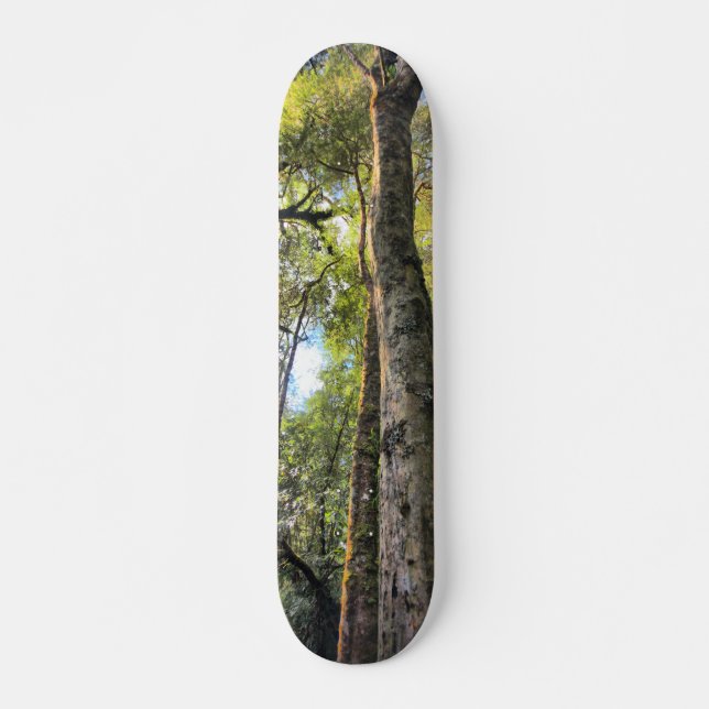 Skateboard Eucalyptus gommiers de la forêt pluviale australie (Devant)