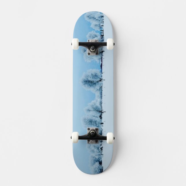 Skateboard Ferme d'hiver (Recto)