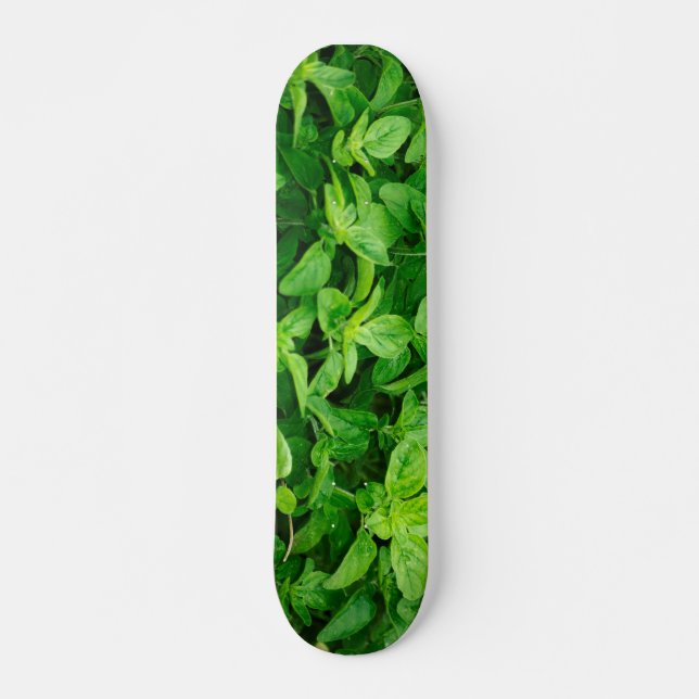 Skateboard feuille 2 (Devant)