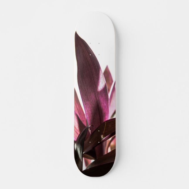 Skateboard feuilles (Devant)