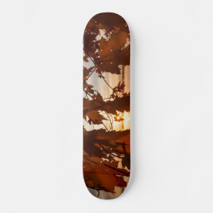 Skateboard feuilles d'érable
