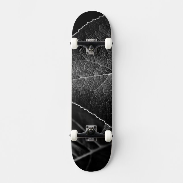 Skateboard feuilles étant (Recto)