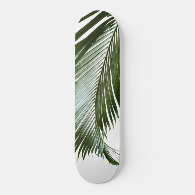 Skateboard Finesse feuille de palme #2 #tropical #wall #art (Recto)
