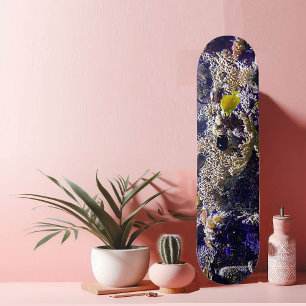Skateboard Fish in Coral Reef