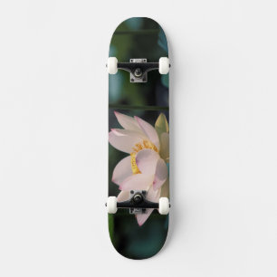 Skateboard Fleur de lotus en fleurs, Chine