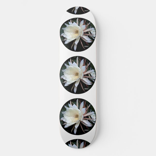 Skateboard Fleur Epiphyte Cactus (Recto)