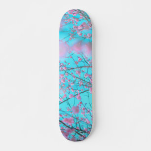 Skateboard Fleurs de Prunier (Suzhou, Chine)