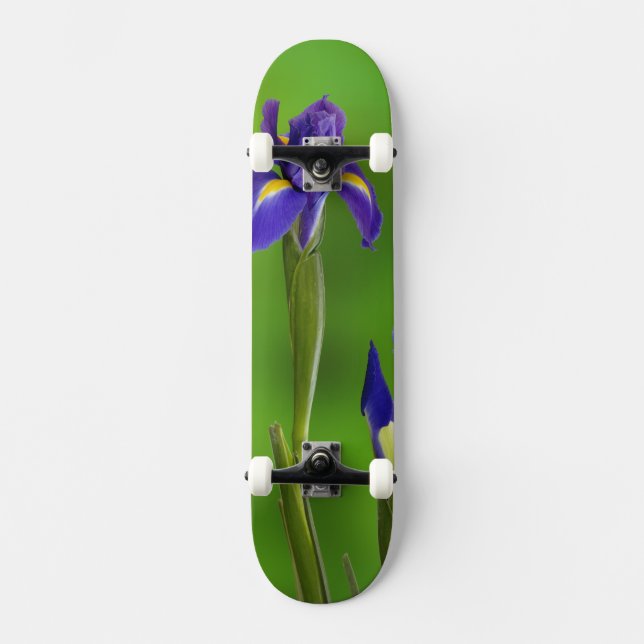 Skateboard Fleurs d'Iris (Recto)