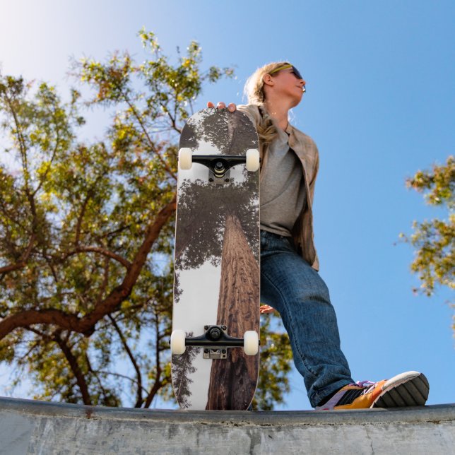 Skateboard forêt, arbre (Extérieur 1)