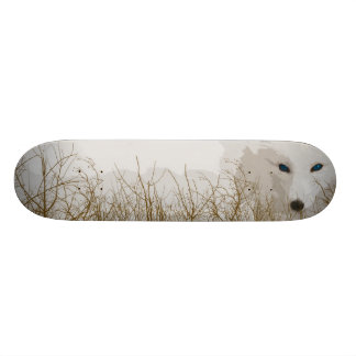 Skateboard Fox blanc