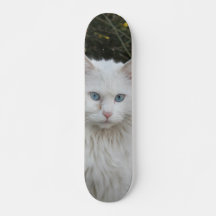Skateboard Gato blanco angora turco ojos azules