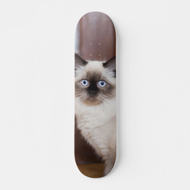 Skateboard Gato peludo de raza ragdoll (Devant)