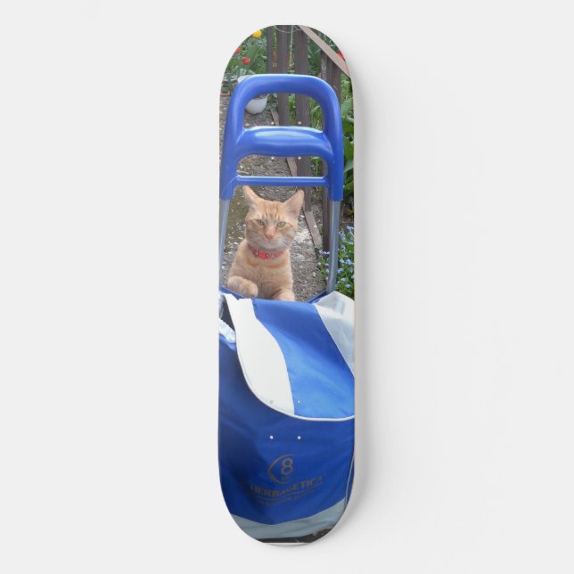 Skateboard Ginger Cat (Front)