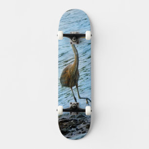 Skateboard Grand héron bleu