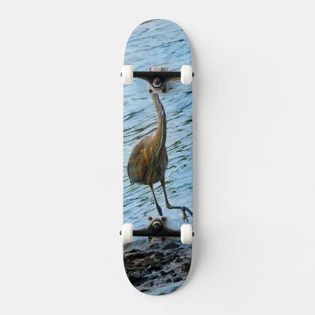 Skateboard Grand héron bleu (Recto)