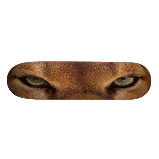 Skateboard GRANDE montagne mauvaise de CAT SKATEBOARD-6 -