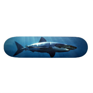 Skateboard grande planche à roulettes de requin blanc