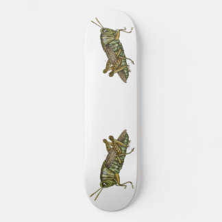 Skateboard Grasshopper vert