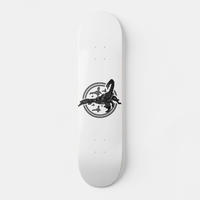 Skateboard GRAY Scorpion (Recto)