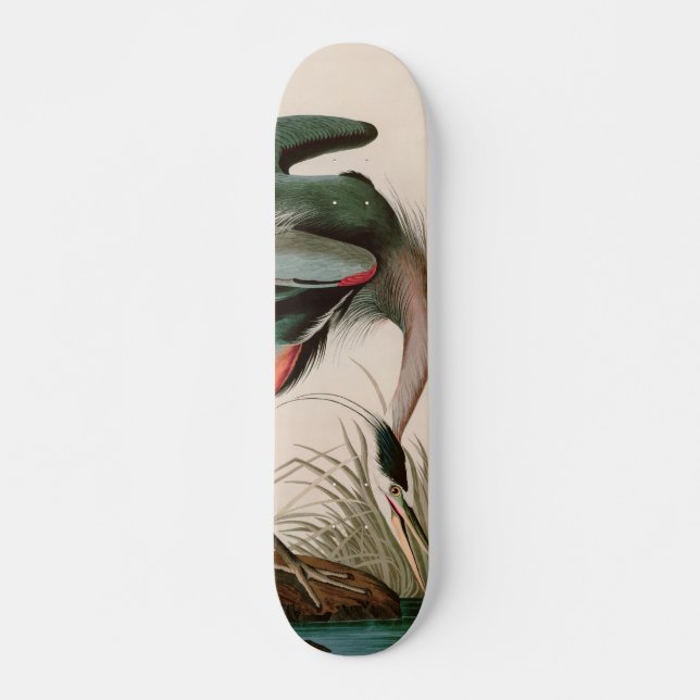 Skateboard Great Blue Heron Birds of America Audubon Imprimer (Devant)