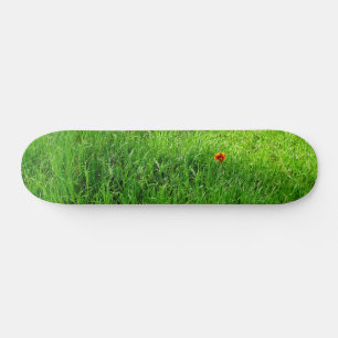 Skateboard Herbe verte