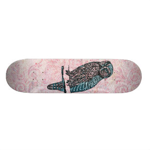 Skateboard Hibou mignon bleu rose vintage