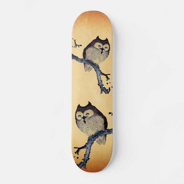 Skateboard Hibou somnolent vintage (Recto)