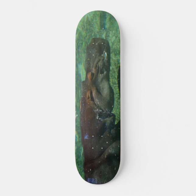 Skateboard Hippo Nage Sous L'Eau, (Recto)