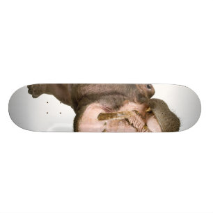 Skateboard Hippopotame