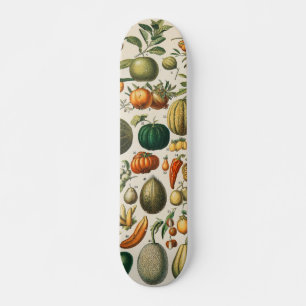 Skateboard Illustration scientifique végétale des fruits